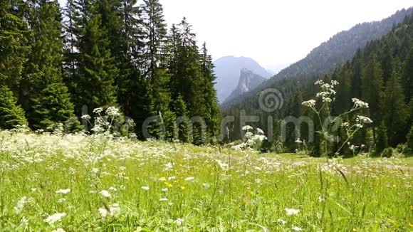 德国巴伐利亚阿尔卑斯山的山景视频的预览图