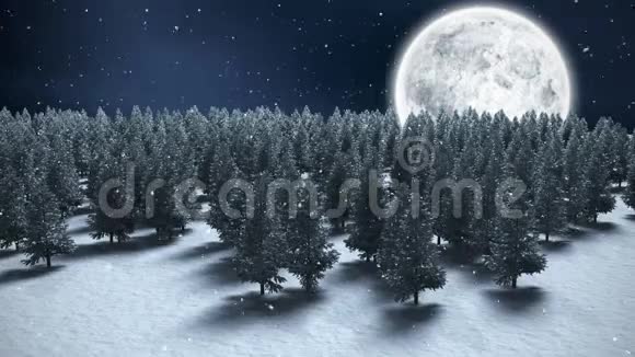 满月和降雪的冬季景色视频的预览图