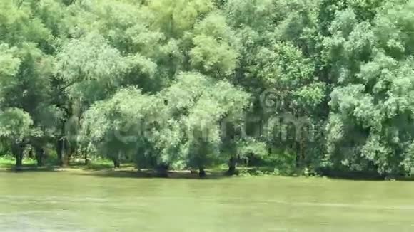 多瑙河三角洲的水道视频的预览图