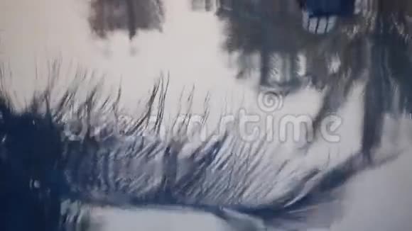 树影在水中倒影视频的预览图