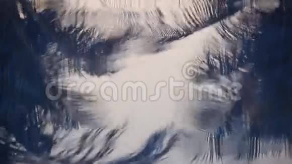 树影倒影在水中视频的预览图