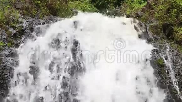 热带丛林瀑布视频的预览图
