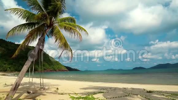 美丽的海景和沙滩棕榈视频的预览图