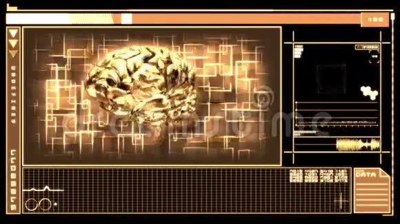 显示大脑的医学数字界面视频的预览图