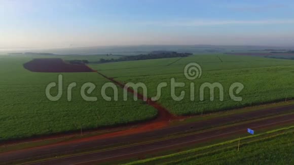 晴天甘蔗收获巴西空中景色视频的预览图