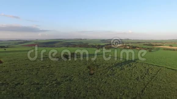 晴天甘蔗收获巴西空中景色视频的预览图