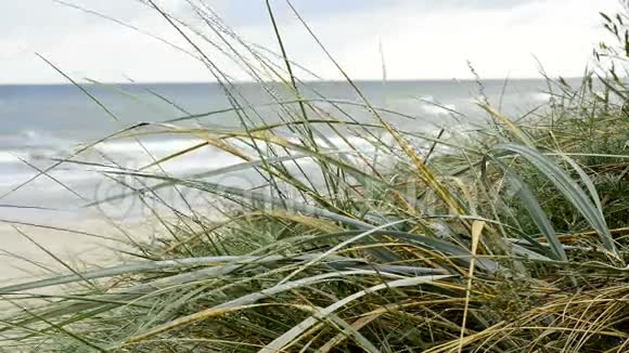 波兰波罗的海乌斯特卡海滩视频的预览图