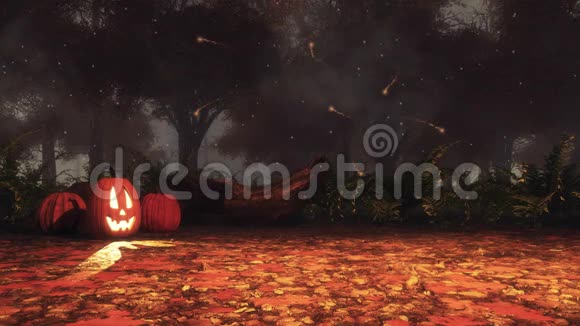 在雾蒙蒙的夜晚秋天森林里的万圣节南瓜视频的预览图