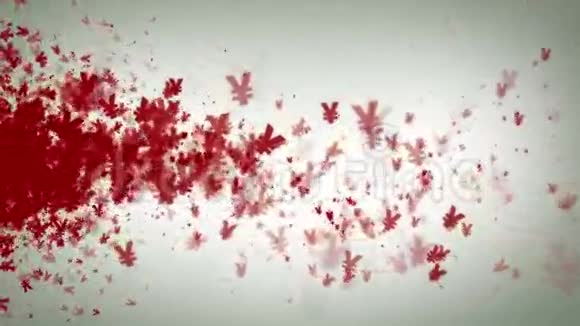 日元符号红色在白色漂移视频的预览图
