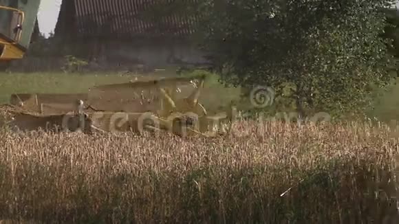 农业机械在夏季收获小麦粮田视频的预览图