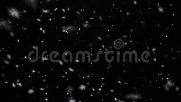 雪雪花渲染了雪的动画视频的预览图