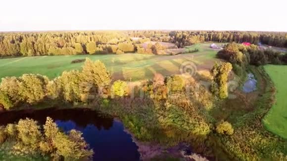 空中镜头湖和森林景观视频的预览图