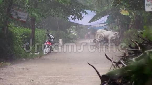 雨柬埔寨东南亚视频的预览图