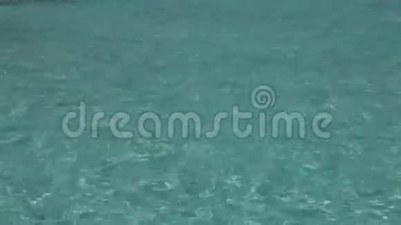 海洋热带岛屿马尔代夫视频的预览图