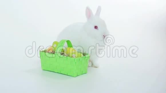 带柳条篮子复活节彩蛋的兔子视频的预览图