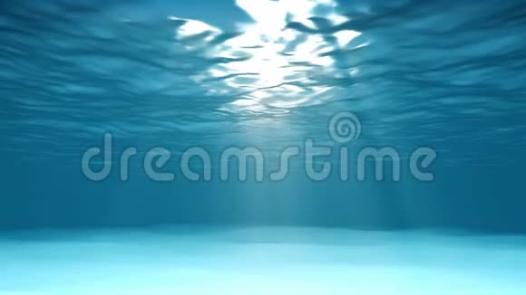 在泻湖的水下视频的预览图
