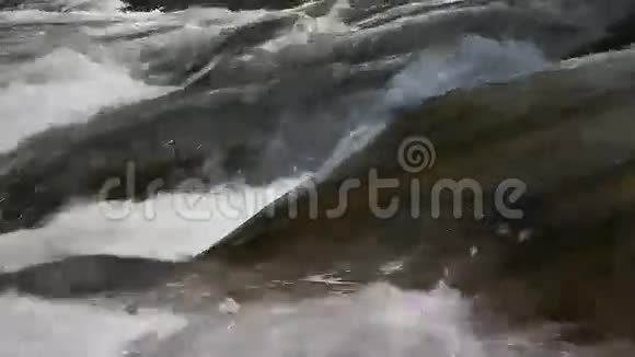 山溪流水视频的预览图