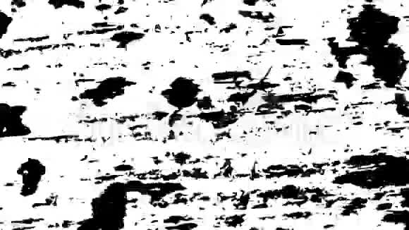白色背景下的黑色噪声运动视频的预览图