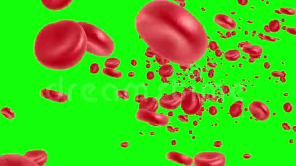 红细胞在流动视频的预览图