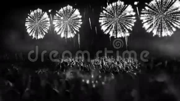 2016人群和焰火爆炸潘卡姆视频的预览图