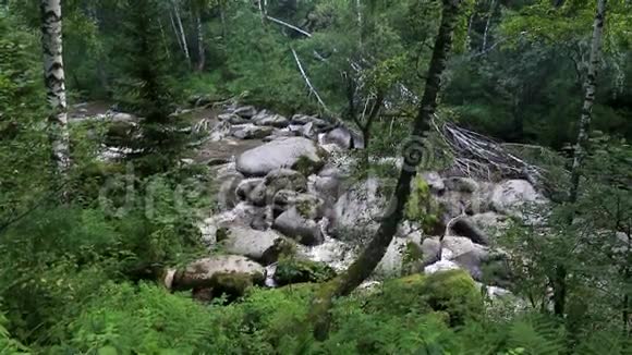 AltaiKrai的Belokurikha山河视频的预览图