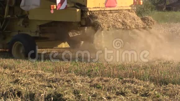 农机割熟麦粒农业产业视频的预览图
