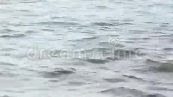 清水塔索斯岛爱琴海视频的预览图