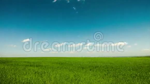 绿野背景下的蓝云视频的预览图