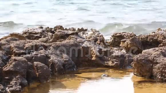 希腊塔索斯岛的爱琴海和带岩石的海滨视频的预览图