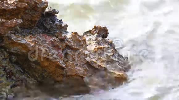 希腊塔索斯岛的爱琴海和带岩石的海滨视频的预览图