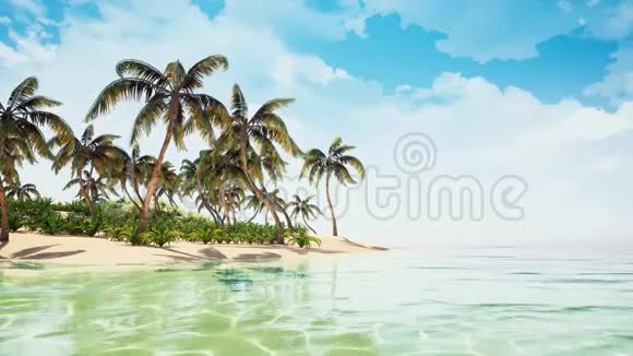 美丽的热带海滩岛视频的预览图