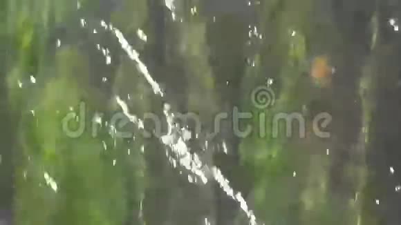 河流水流背景视频的预览图