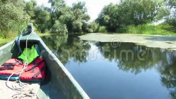 罗马尼亚多瑙河三角洲有沼泽植被的美丽宁静的水道视频的预览图