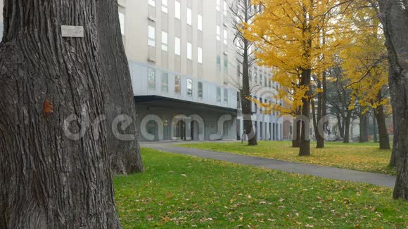 北海道大学秋季视频的预览图
