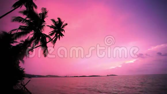 热带海滩日落时棕榈树的剪影视频的预览图