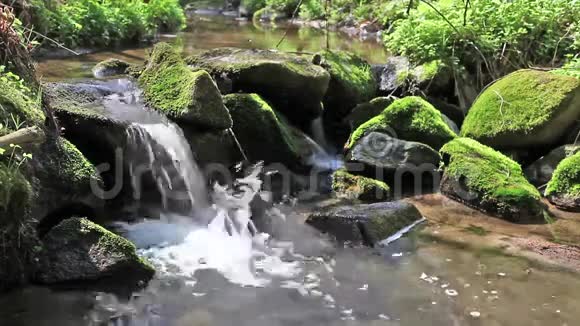河流流过原始森林中的巨石视频的预览图