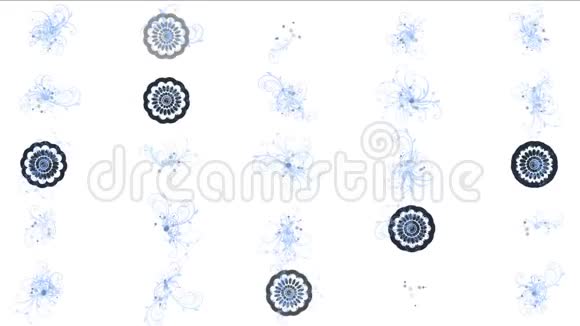 抽象花瓣艺术图案背景视频的预览图