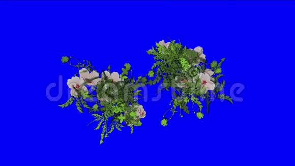 4k郁郁葱葱的花瓣叶作物灌木丛植草生长背景视频的预览图