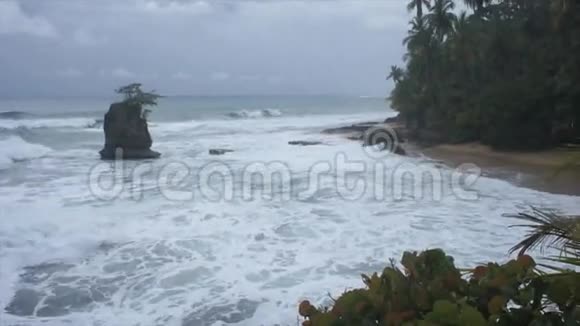 哥斯达黎加的加勒比海岸视频的预览图