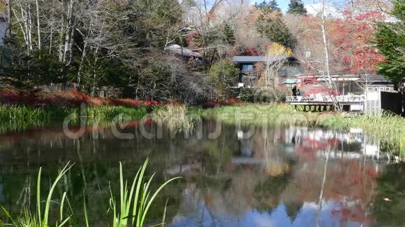 日本长野川池塘秋色视频的预览图