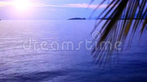 苏梅岛热带海滩日出视频的预览图