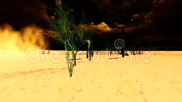 美国沙漠视频的预览图