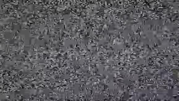 真实模拟电视Noize视频的预览图