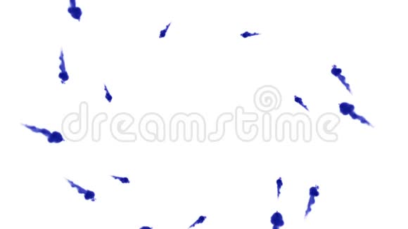 头顶拍摄的孤立的蓝色墨水在白色上形成一个圆圈蓝色的水和缓慢的运动使用墨水视频的预览图