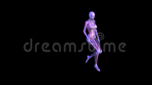 人体解剖学视频的预览图