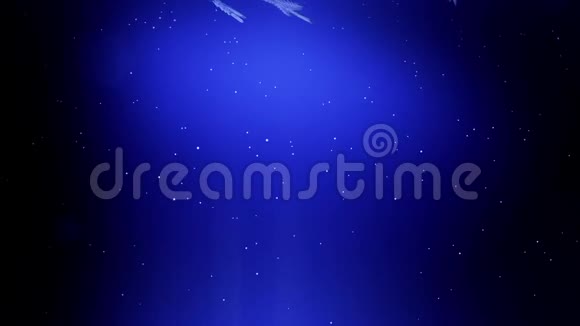 装饰的3d雪花在蓝色背景上在空中飞舞用作圣诞节新年贺卡或冬季环境的动画视频的预览图