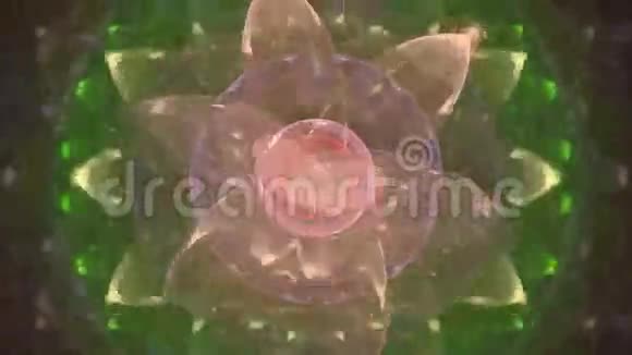 对称花卉分形艺术设计视频的预览图