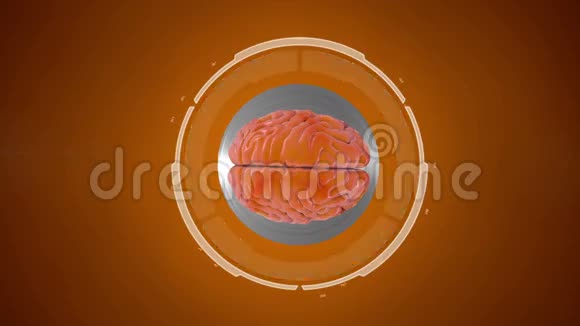 有触角和人脑的未来派机器人医学概念解剖未来视频的预览图