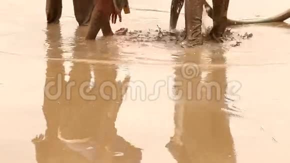 印度人民泥浆浴自然野外水疗中心视频的预览图