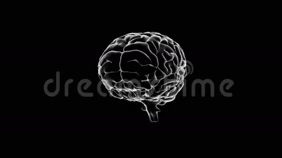 大脑在黑色背景上旋转视频的预览图